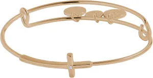 Alex and Ani In-Line Arrow Bangle