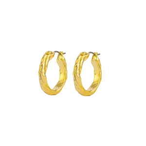 Catalina Hoops