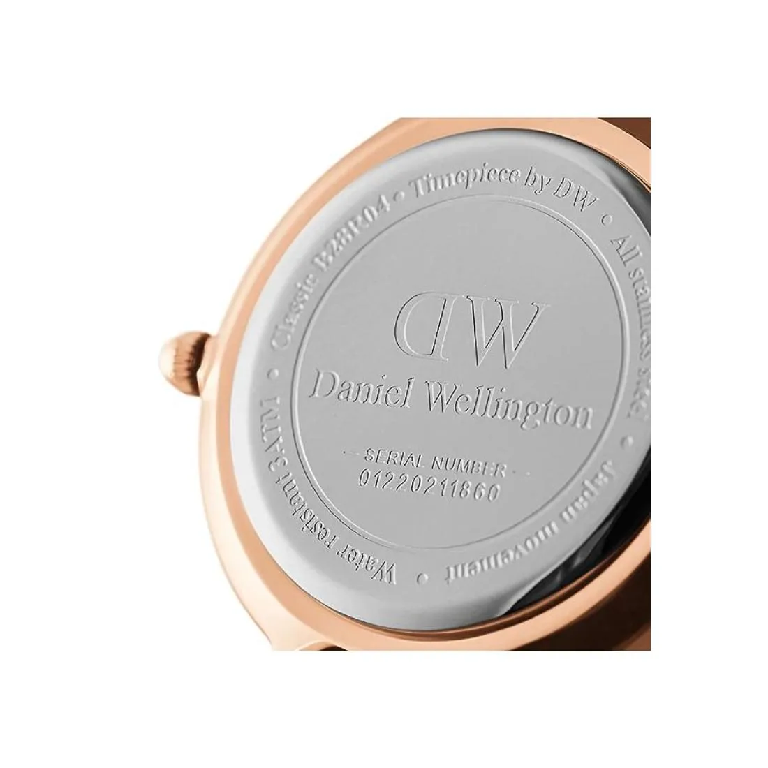 Daniel Wellington Black Dial Women Analogue Watch - DW00100215